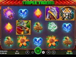 Triple Tigers Slots